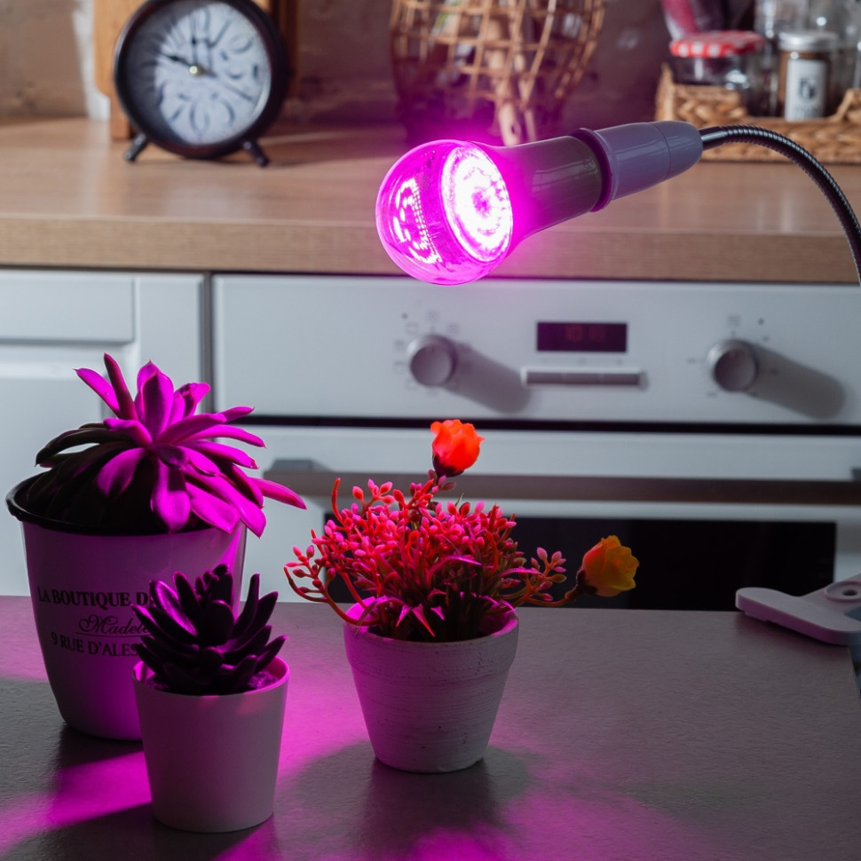 Лампа фитолето для растений