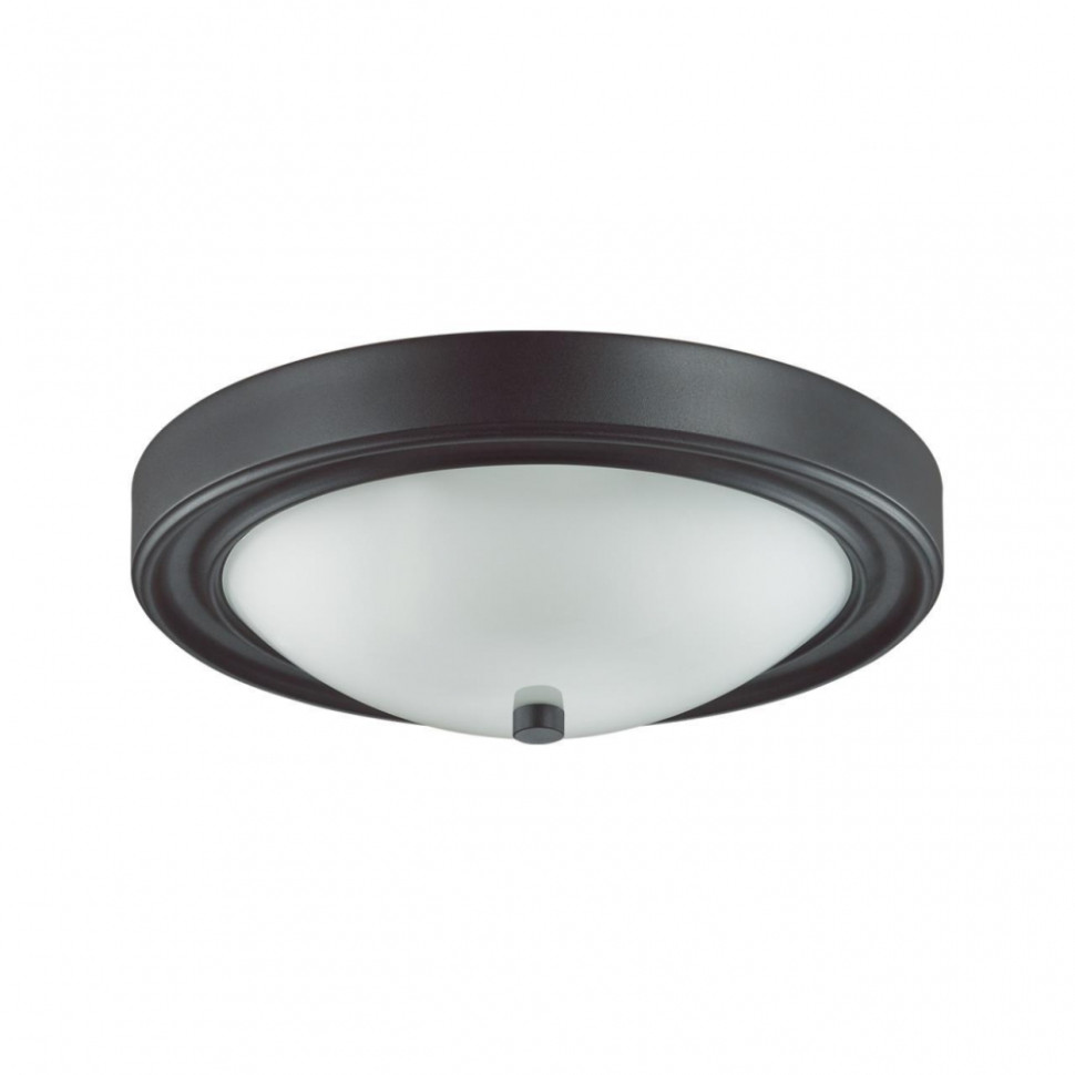 Настенно-потолочный светильник Lumion Nina 5260/2C, цвет черный 5260/2C - фото 1