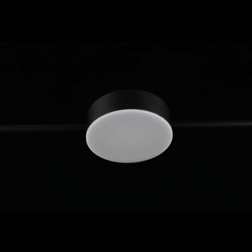 Подвесная светодиодная люстра Aployt Frania APL.017.03.18, цвет черный - фото 3
