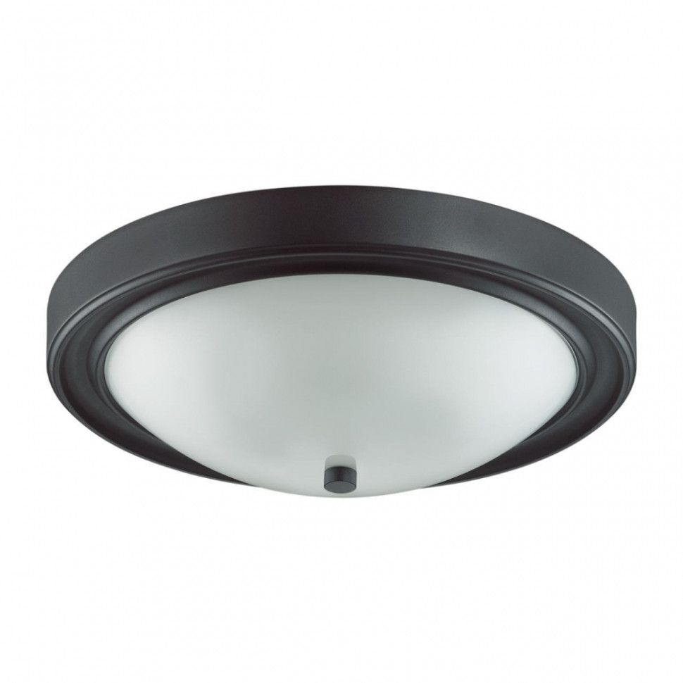 Настенно-потолочный светильник Lumion Nina 5260/3C, цвет черный 5260/3C - фото 1