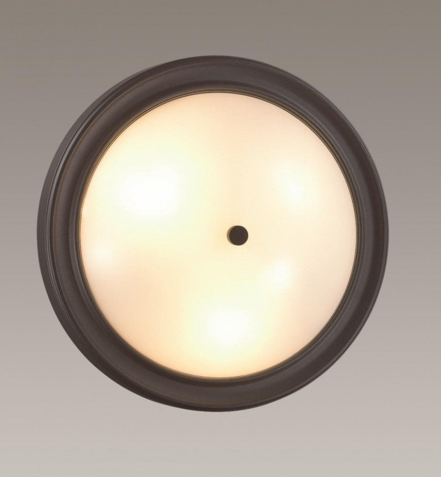 Настенно-потолочный светильник Lumion Nina 5260/3C, цвет черный 5260/3C - фото 2