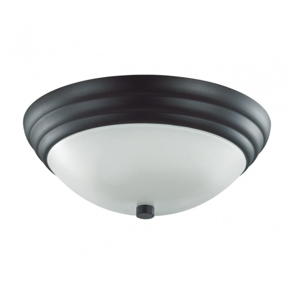 Настенно-потолочный светильник Lumion Kayla 5263/2C, цвет черный 5263/2C - фото 1