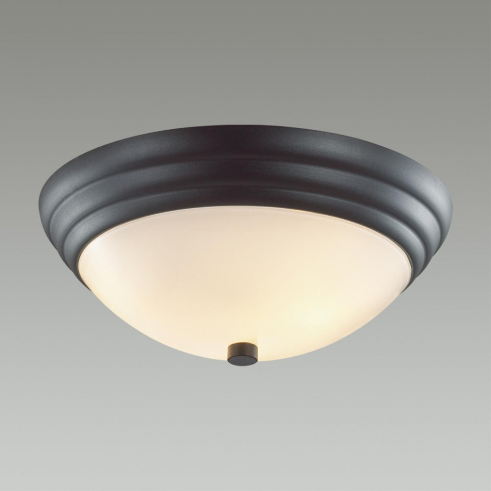 Настенно-потолочный светильник Lumion Kayla 5263/2C, цвет черный 5263/2C - фото 2