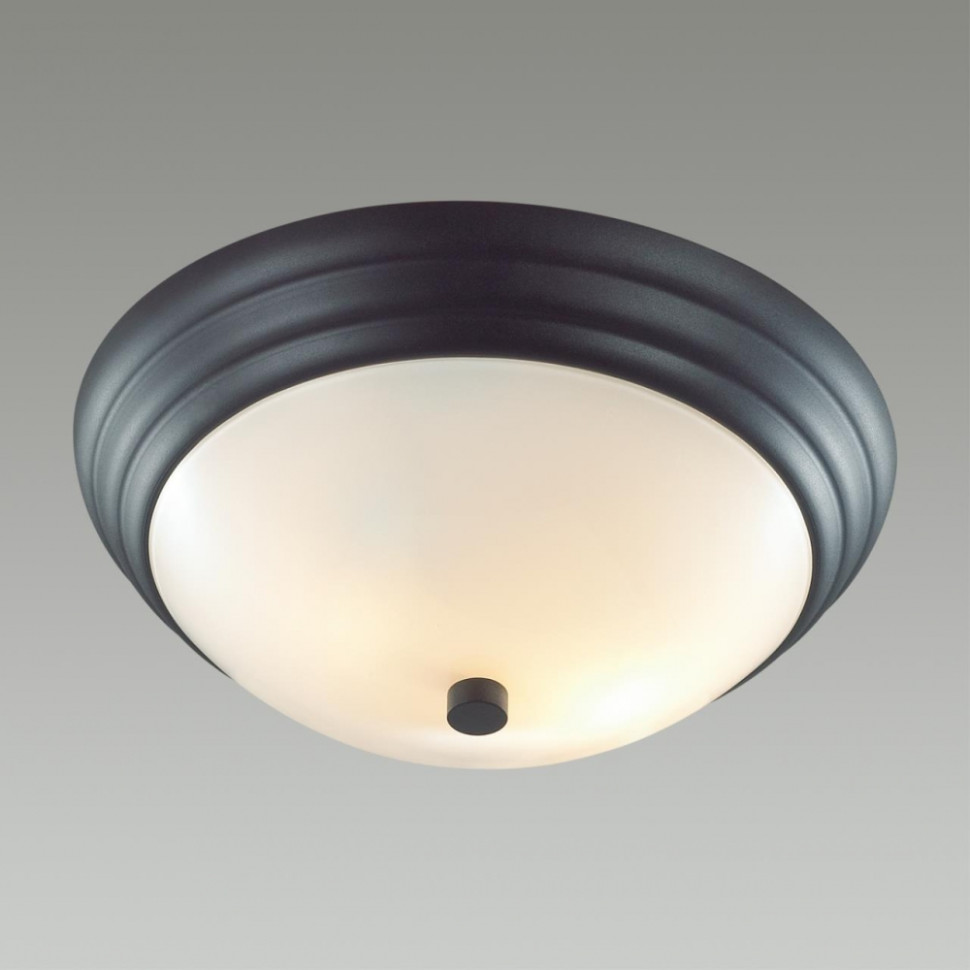 Настенно-потолочный светильник Lumion Kayla 5263/2C, цвет черный 5263/2C - фото 3