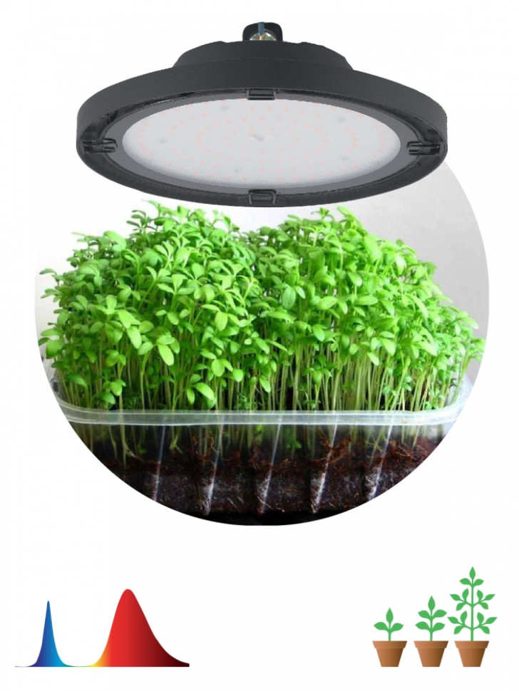 Прожектор светодиодный для растений ЭРА 50W 1310K Fito-50W-RB-Led-Ufo Б0053280 прожектор светодиодный для растений эра 50w 1310k fito 80w rb led y б0053082