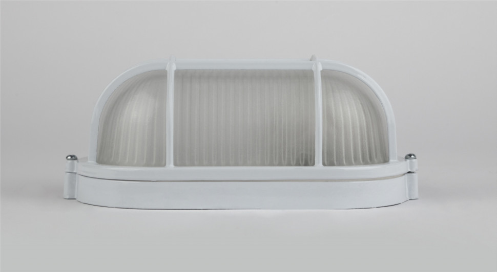 Настенно-потолочный светильник Эра НБП 04-60-002 (Б0048425), цвет белый - фото 4