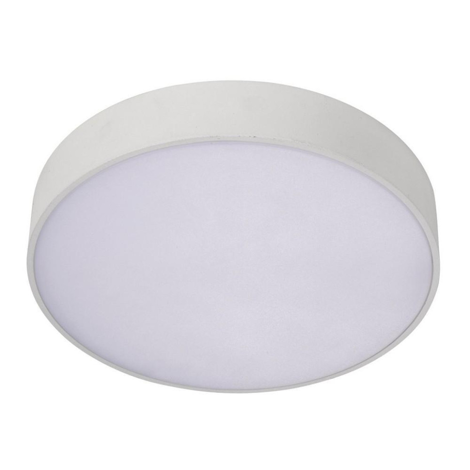 Накладной светодиодный светильник Aployt Evon APL.0113.09.12, цвет белый - фото 1