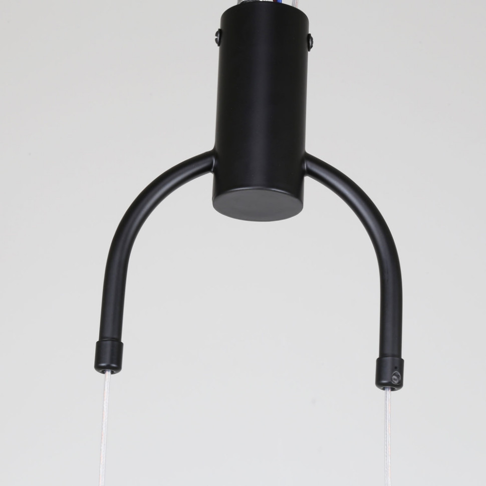 Подвесной светильник Favourite Levitas 4191-1P, цвет черный - фото 4