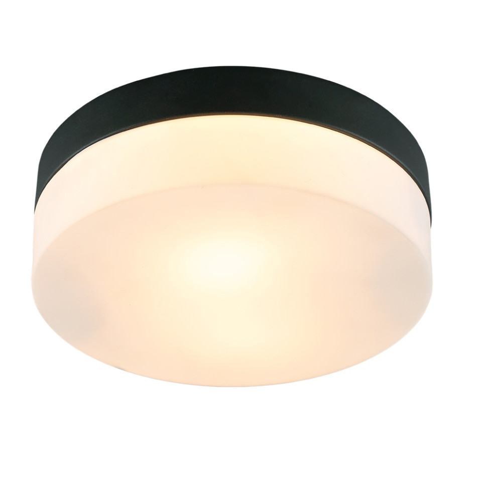 Светильник потолочный в наборе с 2 Led лампами. Комплект от Lustrof №284510-708051, цвет черный - фото 1
