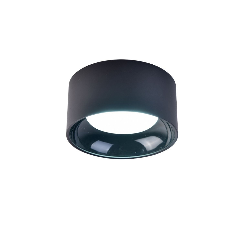 Накладной светильник Favourite Rout 4210-1C, цвет черный