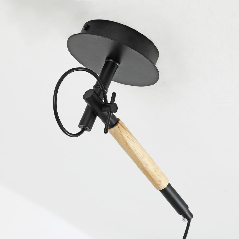 Настенно-потолочный светильник F-Promo Eureka 3006-1P, цвет матовый черный - фото 2