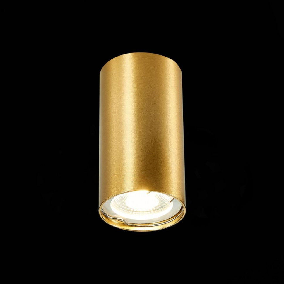 Накладной светодиодный светильник ST Luce ST110.207.01, цвет золотистый - фото 2