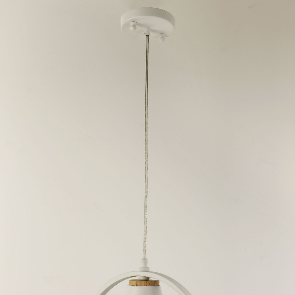 Светильник подвесной с лампочками, комплект от Lustrof. № 315197-617627, цвет матовый белый - фото 3