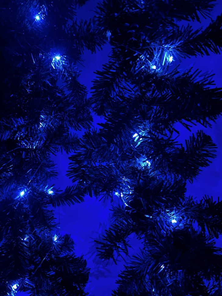 Гирлянда LED Нить (5м.) синий свет Эра ENIN -5NB (Б0047962) - фото 3