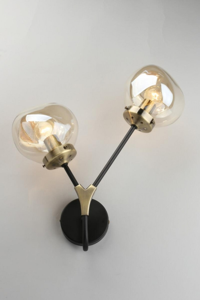 Бра с лампочками Omnilux OML-95101-02+Lamps, цвет черный OML-95101-02+Lamps - фото 4