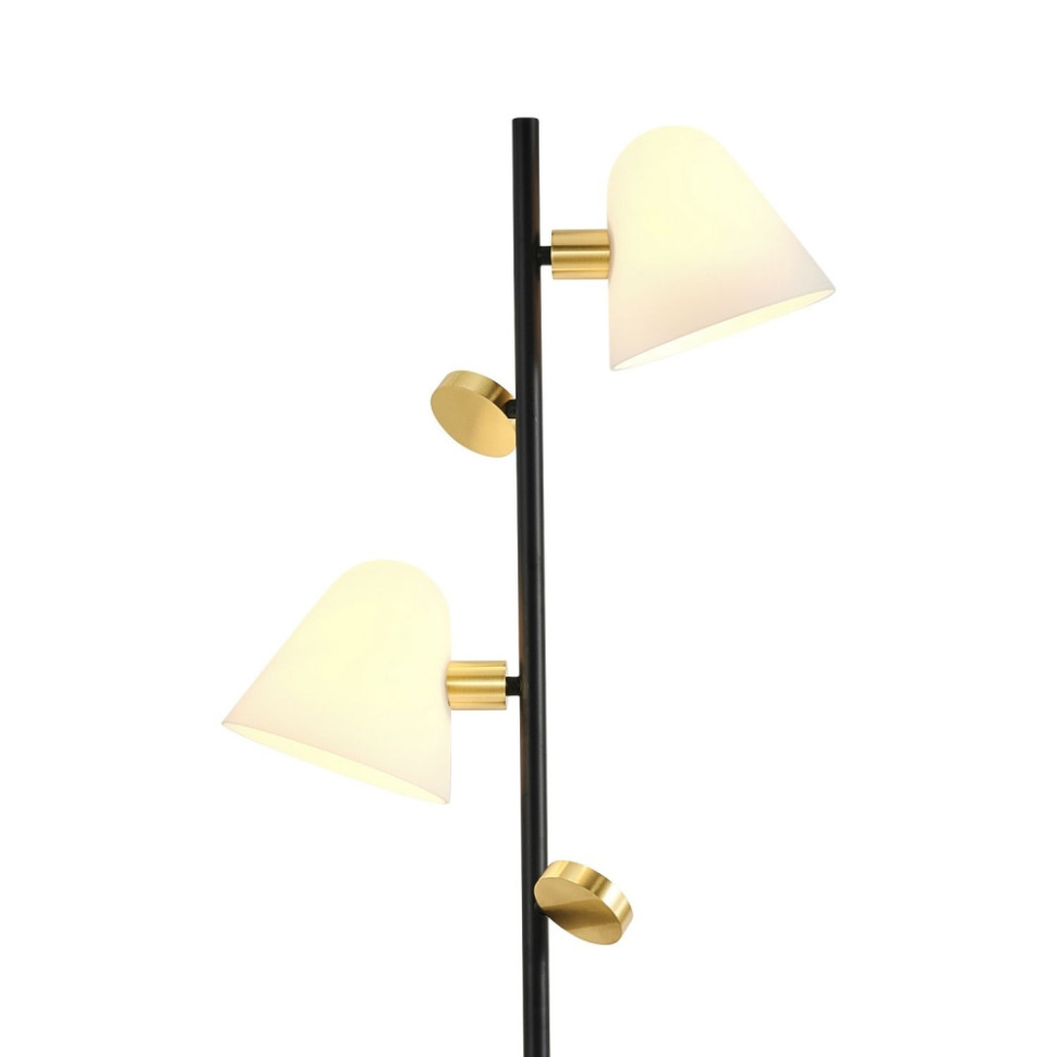Торшер со светодиодными лампами, комплект от Lustrof. №384976-618309, цвет матовый черный, золото - фото 3