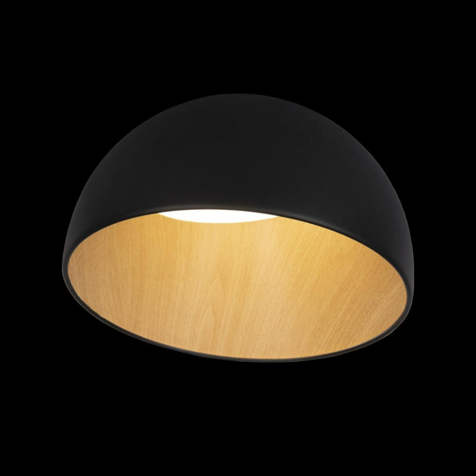 Потолочный светодиодный светильник Loft IT Egg 10197/350 Black, цвет черный 10197/350 Black - фото 4