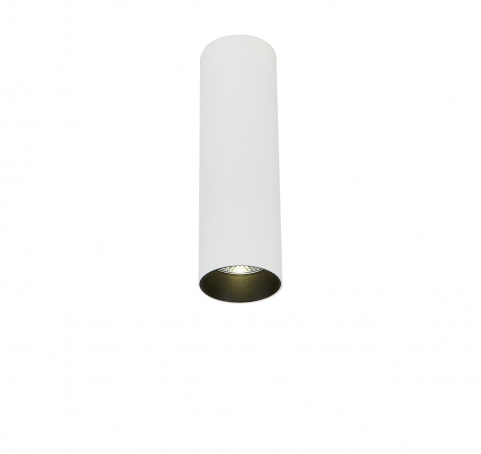 Накладной светодиодный светильник SIMPLE STORY 2052-LED10CLW кормушка поилка жук скарабей 16 х 12 см simple zoo