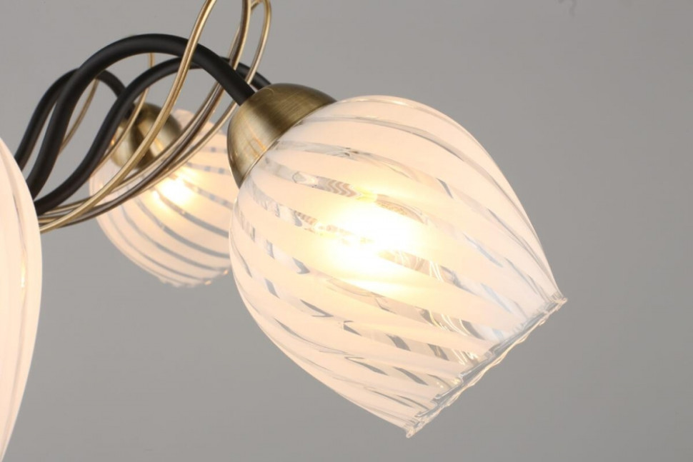 Люстра потолочная с лампочками Omnilux OML-65507-08+Lamps, цвет матовый черный OML-65507-08+Lamps - фото 3