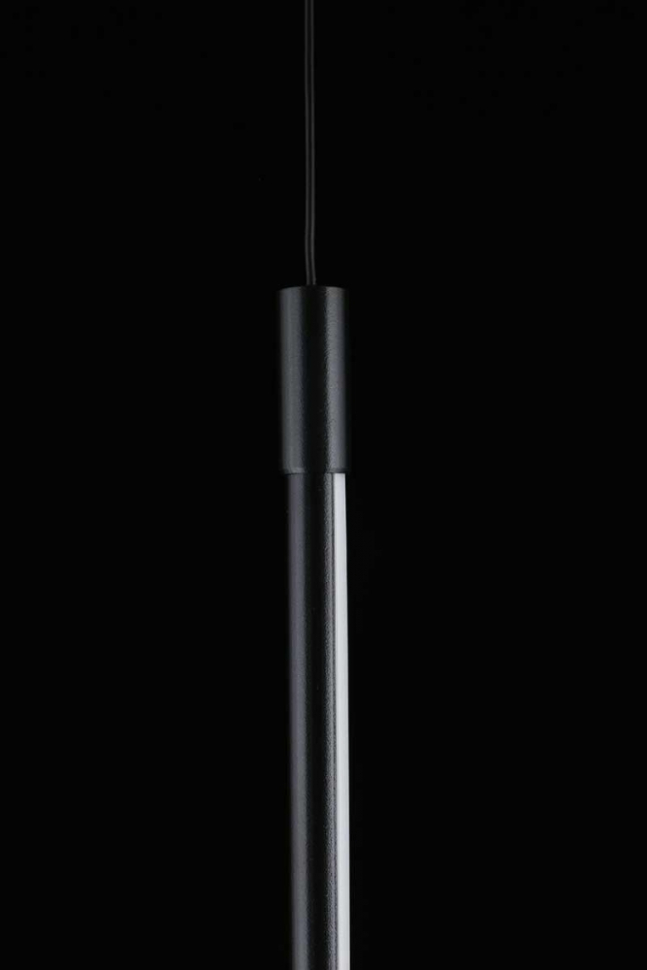 Подвесной светильник Aployt Gabi APL.0124.06.15, цвет черный - фото 2