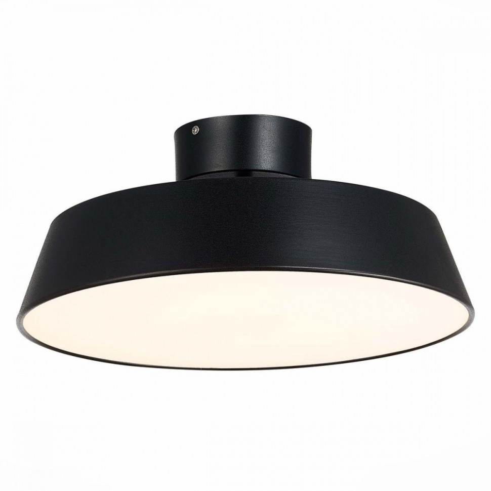 Потолочный светильник Evoluce Vigo SLE600242-01, цвет черный - фото 3