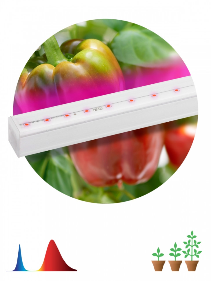 Настенный светодиодный светильник ЭРА Prom Fito-16W-Т5-N Б0045233 светодиодный светильник для растений glf1 600 8bt fito спектр для фотосинтеза
