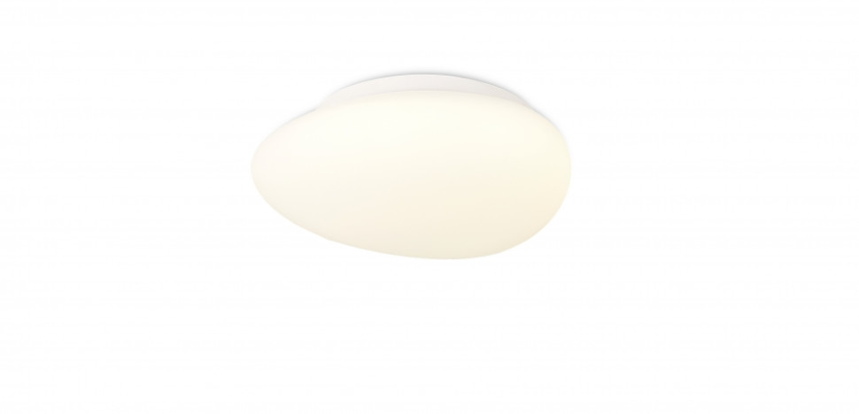 Потолочный светодиодный светильник SIMPLE STORY 1205-LED12CL