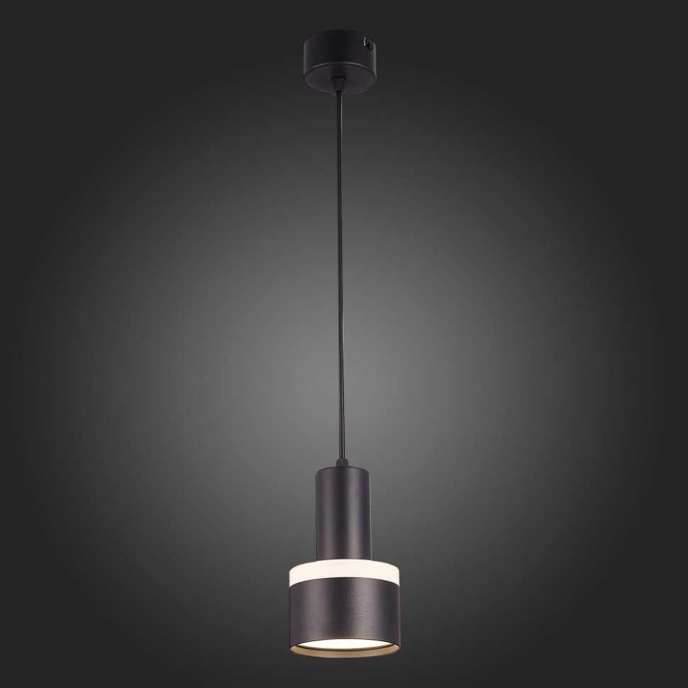 Светильник подвесной ST-Luce PANAGGIO ST102.443.12, цвет черный - фото 3