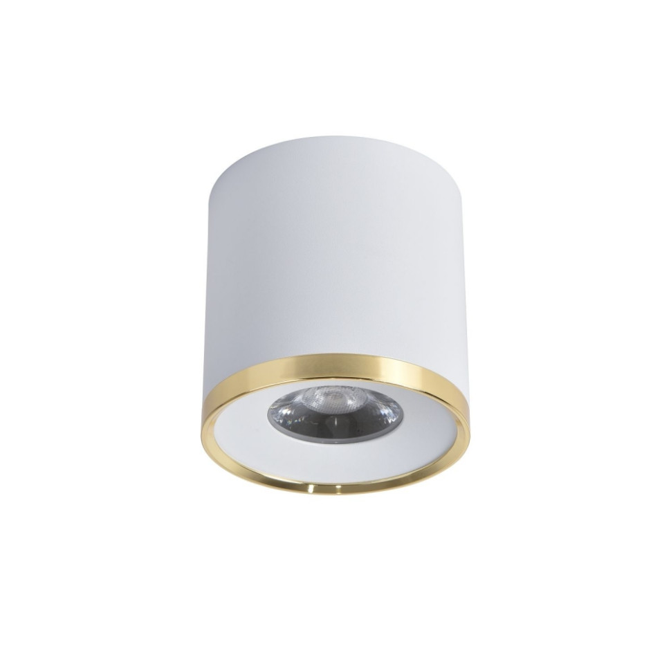 Накладной светильник Favourite Prakash 3085-2C, цвет матовый белый, золото - фото 2