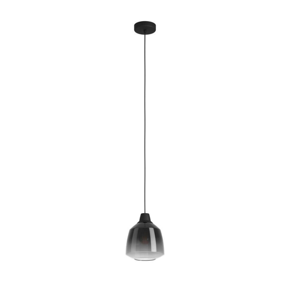 Подвесной светильник Eglo Sedbergh 43821, цвет черный - фото 1